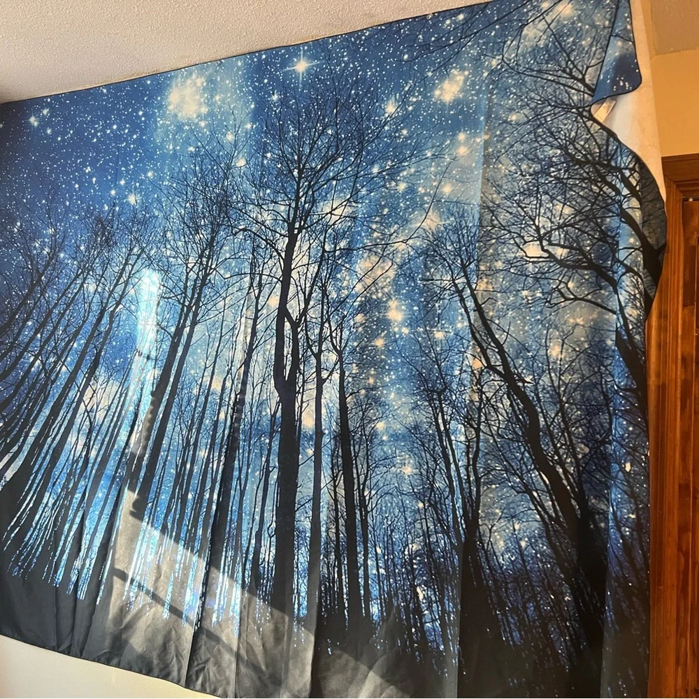 Tapestry Wall Hangings (4 total) - Picture 10 of 15